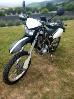 Kawasaki KLX 250 - 7