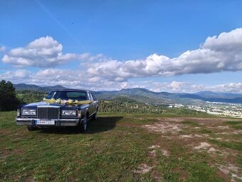 Lincoln town car 5.0i prerobený na karburátor ederblock - 7