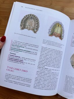 Čihák Anatomie 1 - 7