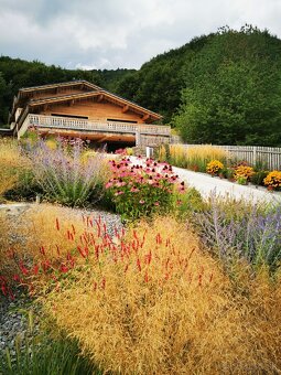 ✨ GREENMAMBA GARDEN – záhrady, do ktorých sa budete chcieť v - 7