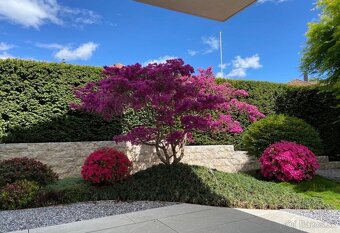 Záhrady v Japonskom štýle - 7