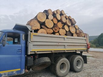 Palivové drevo - 7