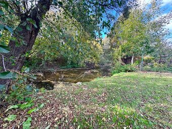 Na predaj chata s 5 ár pozemkom pri mŕtvom ramene Nitry - 7