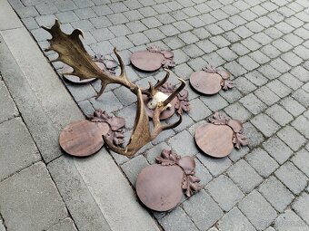 Trofej daniela +podložky - 7