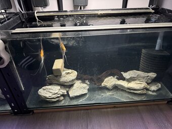 Regály s akváriami, technikou a rybičkami - 7