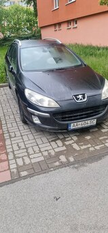 Peugeot 407sw - 7