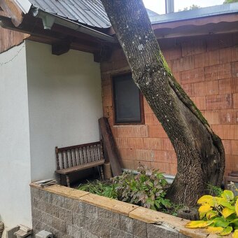 Rizikové rezanie stromov - 7