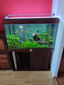Predám akvárium - 7