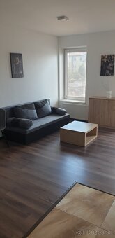 1 izb byt prenajom - 7