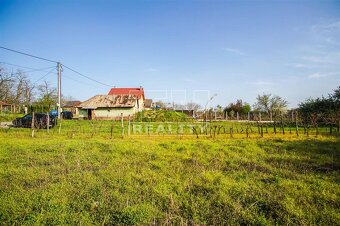 Na predaj záhrada, Svätý Peter, 1306 m2 – ideálna na... - 7