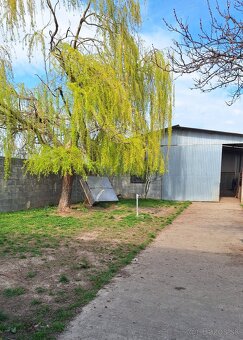 Dom s veľkým pozemkom + veľké priestory - 7