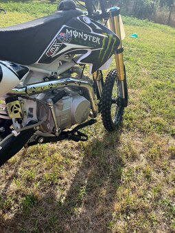 Pitbike Monster Edition 125cc - 7