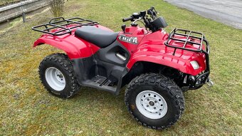 Suzuki eiger 400 - 7
