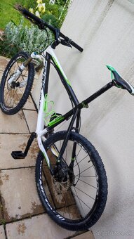 Rock machine Team 50 carbon - 7