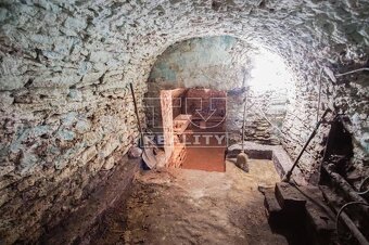 Na predaj pivničný dom, Svätý Peter, 464 m2 - 7