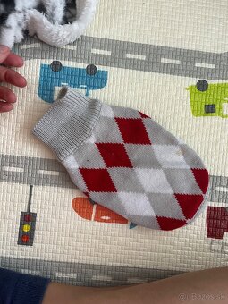 Oblečenie pre psika civava - 7