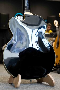 Washburn AB-95 - 7