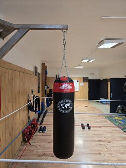 Boxerské vrece 120x35 - 7