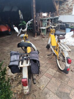 Predám Babety 228 - 7