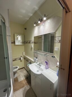 Prenajmem -1 izbový byt v Šali - 7