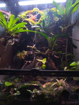Predám terárium - 7
