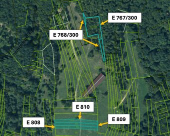 Omastiná – 9.909 m2 LESY a PASIENKY – PREDAJ - 7