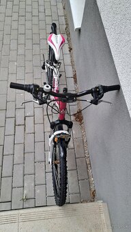 Dievčenský Bicykel CTM WILLY 2.0. - 7