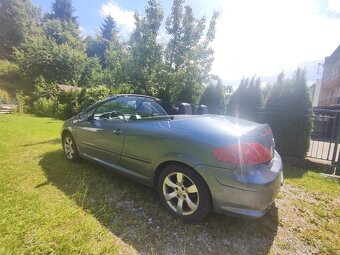 Peugeot 307cc - 7