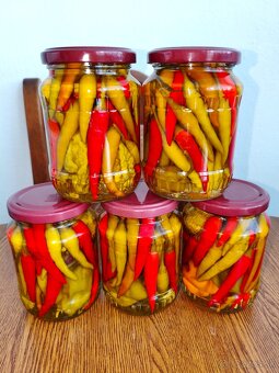 Domáce chilli rôzne druhy. - 7