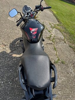 Honda Hornet Cb 600f - 7