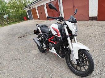 Benelli bn 251 - 7