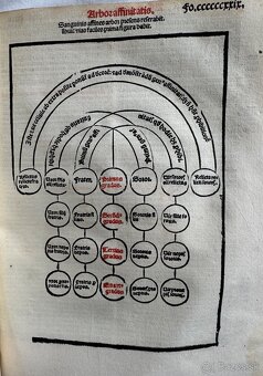 Gracianov Dekret 1542 - 7