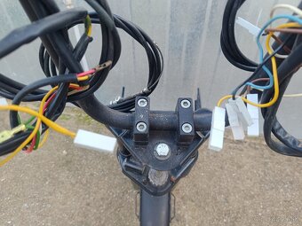 Predok manet Korado - 7