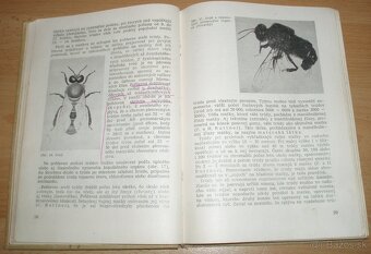 Chov včelích matiek - 7
