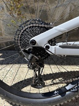 Canyon Spectral 5 AL 2024 - 7