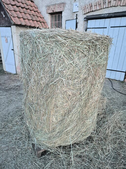 seno okrúhle balíky 130x130 - 7