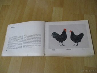 Atlas plemien hydiny - 7