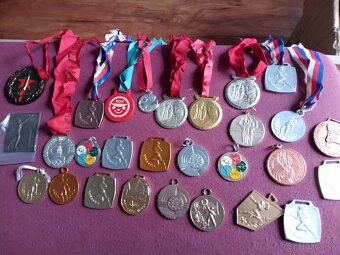 Medaile Roh.Pionier.SSM.CSM.Retro.Ceskoslovensko. - 7