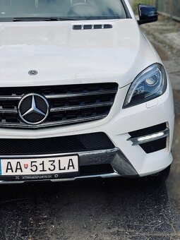 Mercedes ML 350 bluetec 4MATIC - 7