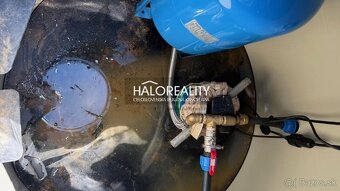 HALO reality - Predaj, rekreačný pozemok Kráľovský Chlmec - - 7