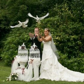 Vypustenie svadobných holubov - 7