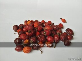 Bylinky z Pienin zber 2024 - 7