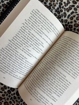 Ani omylom - Charlie Donlea TOP stav - 7