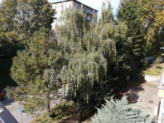 Ponúkame na predaj veľký 2izbový byt v Bratislava Krasňany/ - 7