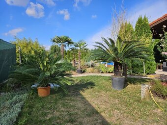 Moderný 3-izbový dom s veľkým pozemkom, bazénom a hosťovským - 7