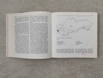 Človek vo vinici - 7