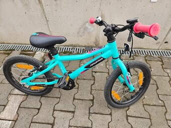 Genesis Melissa 16 - 7