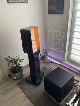 Aurum Cantus V2M - 7