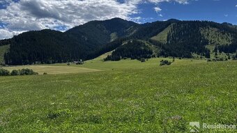 Na predaj pozemok v obci Pavčina Lehota – 3 624 m² - 7