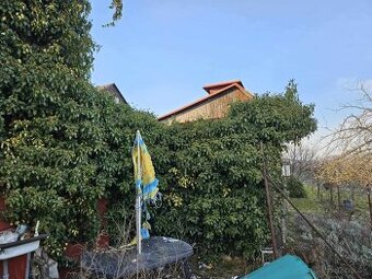 Predám pozemok v záhradkárskej oblasti Šípkové -AKTUÁLNE - 7